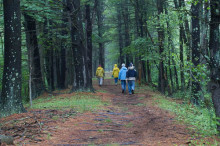 Hikers walk away down rail-trail where once steam engines filled the then treeless air with sound and at times smoke and soot.  Judy Schneider photo