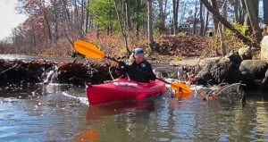 Stream Teamer Elaine Gauthier just successfully shot over the beaver dam crossing the Ipswich River below Logbridge Road Park, Middleton. - Judy Schneider photo