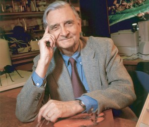 Edward O. Wilson studies social insects and relates his findings to other animals including us.   -   Wikipedia photo