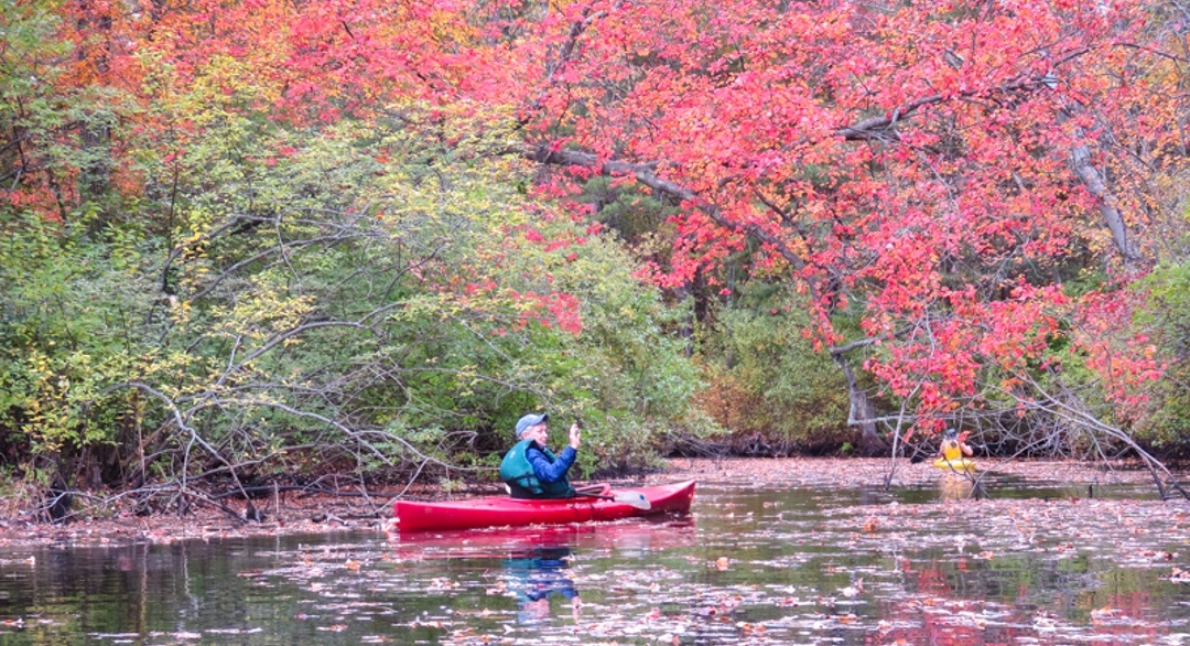 LATE OCTOBER ON THE IPSWICH RIVER