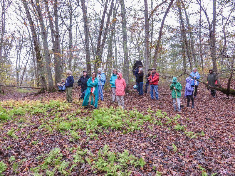 Image #1 for 11-17-17 Pond Meadow