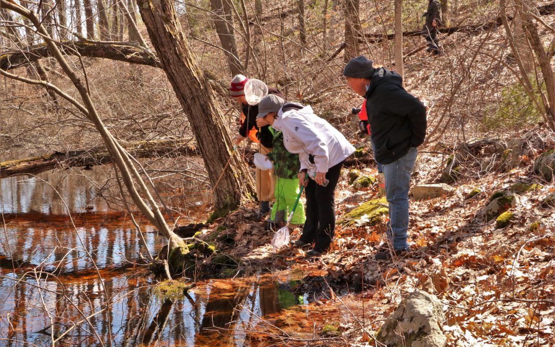 Middleton Stream Team’s Vernal Pool Talk and Spring Hike