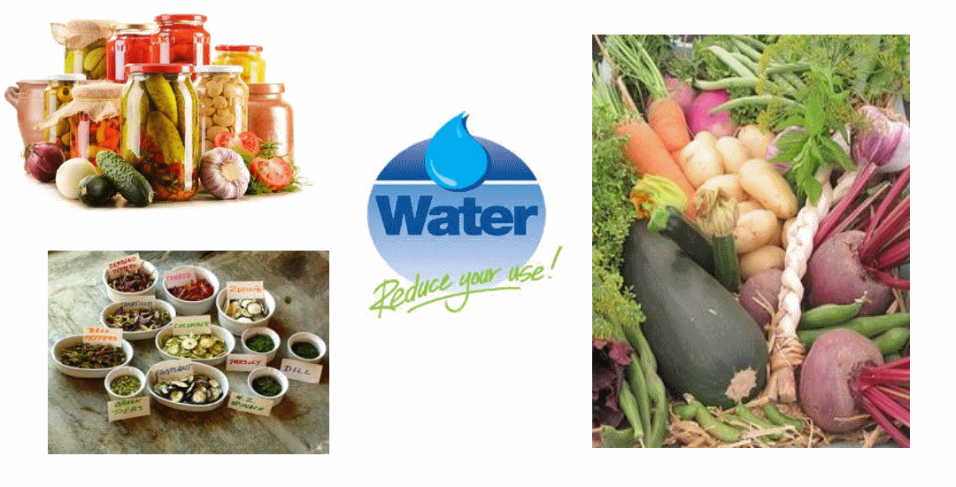 The Food and Water Connection,   May 16th