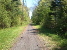 Spring time on the rail-trail between Essex and Howe Manning School.  This is a western section of Phase I to be voted on at Town Meeting. -  Derek Fullerton photo