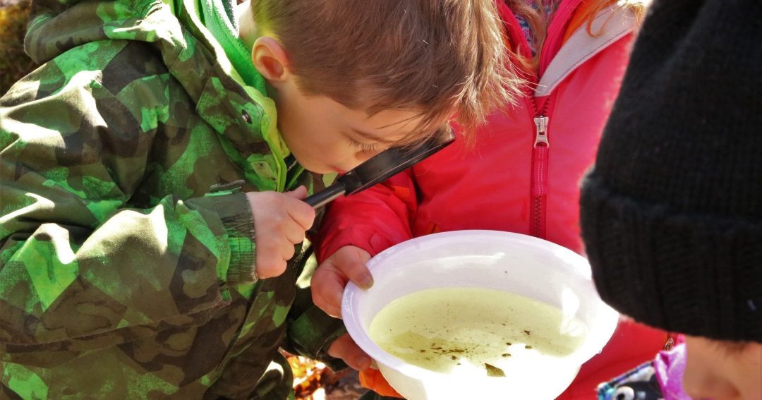 SPRING FAMILY HIKE TO VERNAL POOLS AND A HERON ROOKERY